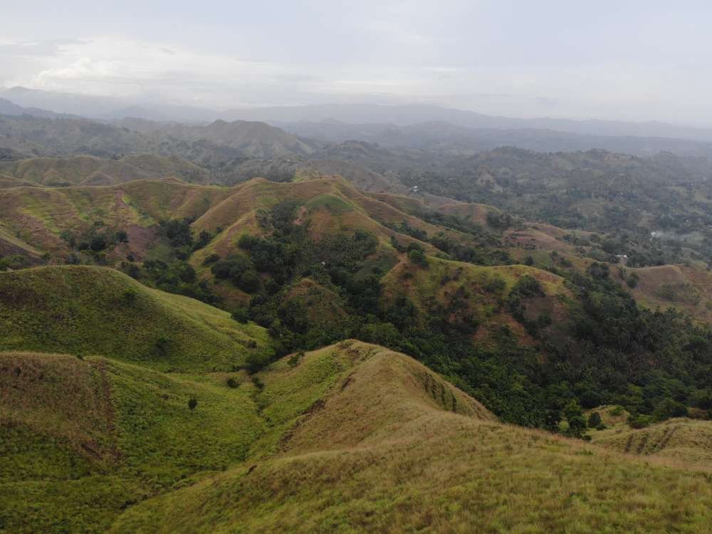 Happy Hills